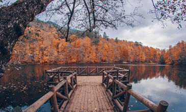 Günübirlik Yedigöller Turu
