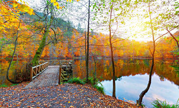 Günübirlik Yedigöller Turu