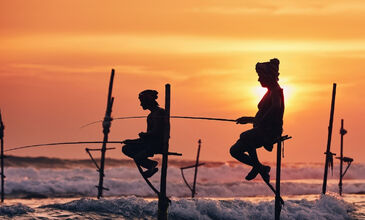 Sri Lanka Turu Türk Havayolları İle 8 Gün EJ001