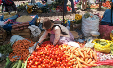 Peru Bolivya Amazon Şili Turu THY ile 18 Gün