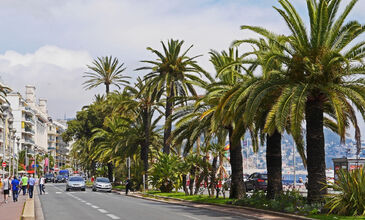 Basel’den Milano’ya Alplerin İzinde Turu THY İle Kurban Bayramı Özel 7 Gece 8 Gün