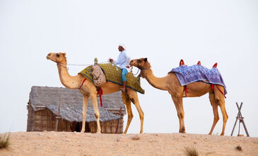 Dubai Turu Emirates Havayolları ile 3 Gece (DXB-DXB) FL001