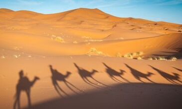 Elegant Sahra Çölü & Tunus Hazineleri Turu Türk Havayolları ile 5 Gece (TUN-TUN) FL001