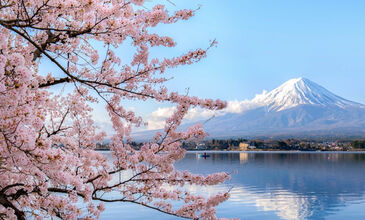 Japonya Kore Turu - Asiana Havayolları İle 